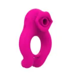 couple play sex toys